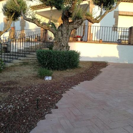 Casa Rural La Amistad Villa Burguillos de Toledo Bagian luar foto