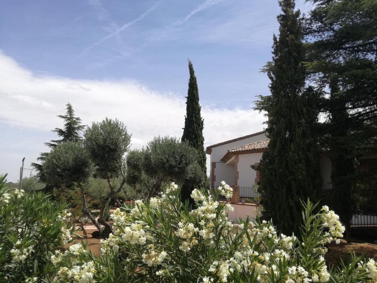 Casa Rural La Amistad Villa Burguillos de Toledo Bagian luar foto