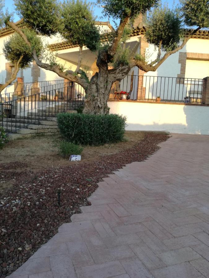 Casa Rural La Amistad Villa Burguillos de Toledo Bagian luar foto