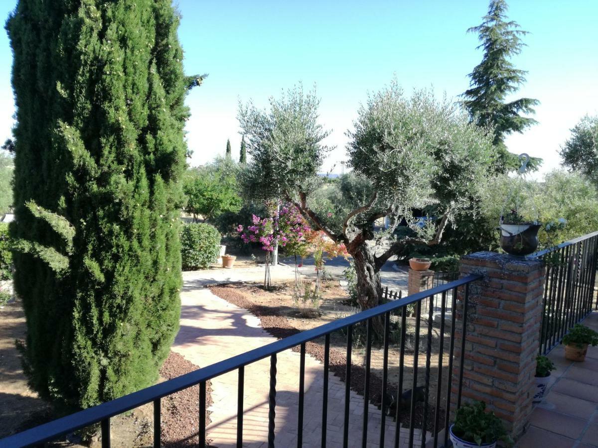 Casa Rural La Amistad Villa Burguillos de Toledo Bagian luar foto