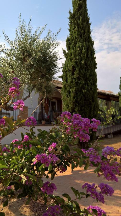 Casa Rural La Amistad Villa Burguillos de Toledo Bagian luar foto
