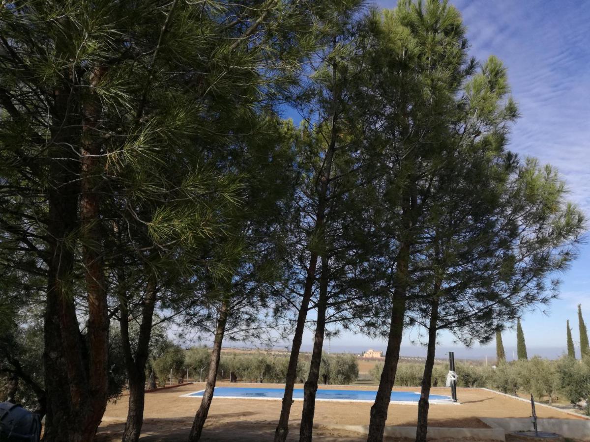 Casa Rural La Amistad Villa Burguillos de Toledo Bagian luar foto